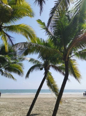 圖片 2.png 圖片 2.png