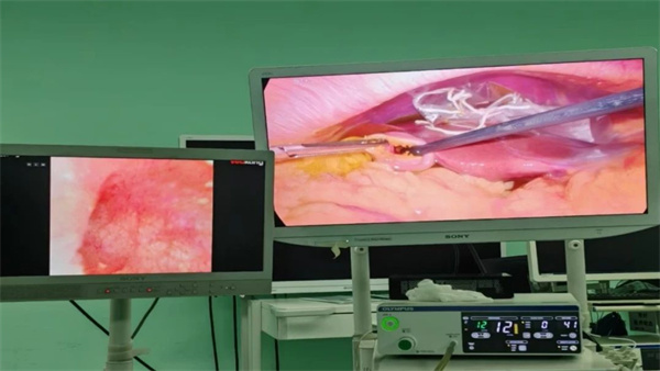 微信圖片_20241210114335.jpg 微信圖片_20241210114335.jpg