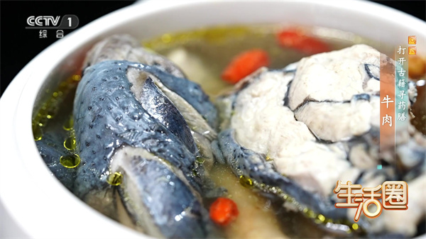 西苑科普 | 打開古籍尋藥膳——牛肉