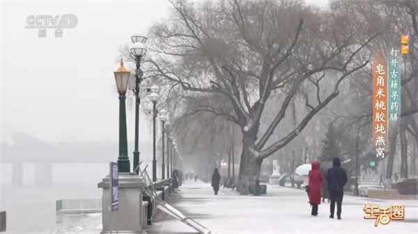 西苑科普 | 打開古籍尋藥膳——皂米桃膠燉燕窩